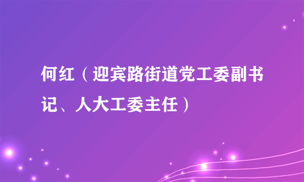 何红（迎宾路街道党工委副书记、人大工委主任）