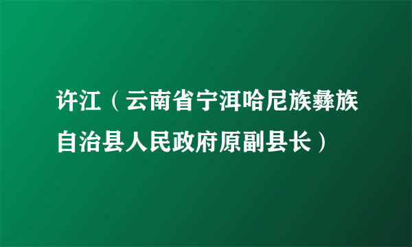 许江（云南省宁洱哈尼族彝族自治县人民政府原副县长）