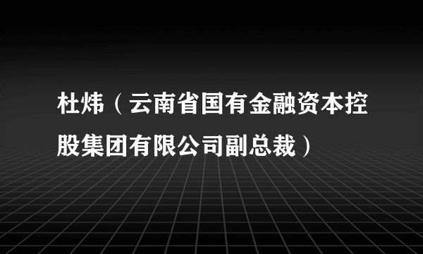 杜炜（云南省国有金融资本控股集团有限公司副总裁）