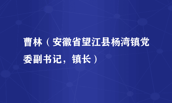 曹林（安徽省望江县杨湾镇党委副书记，镇长）