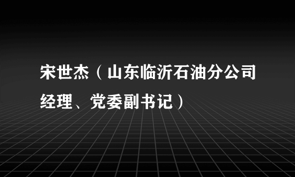 宋世杰（山东临沂石油分公司经理、党委副书记）