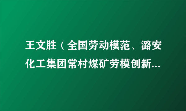 王文胜（全国劳动模范、潞安化工集团常村煤矿劳模创新工作室带头人）