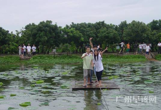 万顷沙原野庄园