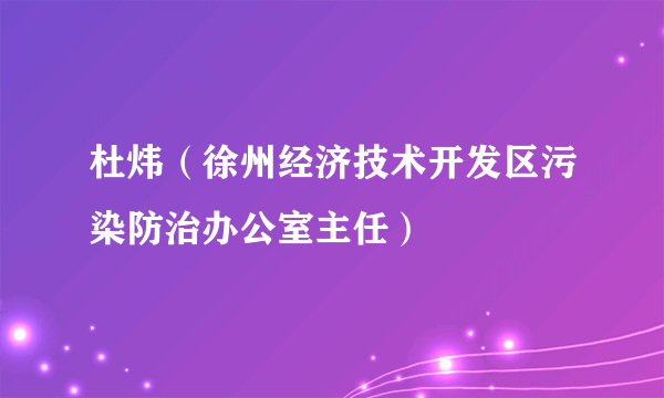 杜炜（徐州经济技术开发区污染防治办公室主任）