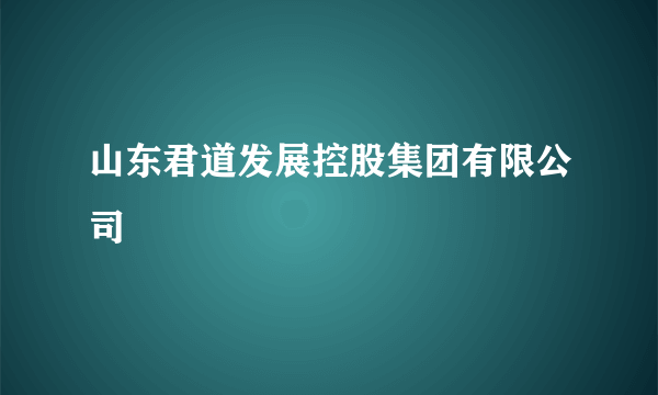 山东君道发展控股集团有限公司