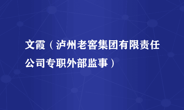 文霞（泸州老窖集团有限责任公司专职外部监事）