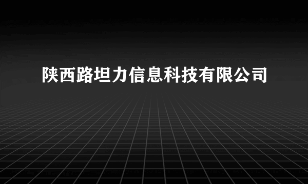 陕西路坦力信息科技有限公司