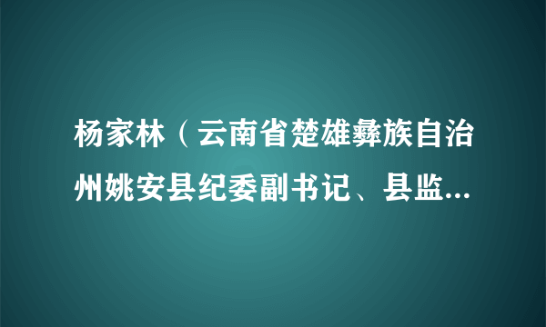 杨家林（云南省楚雄彝族自治州姚安县纪委副书记、县监委副主任）