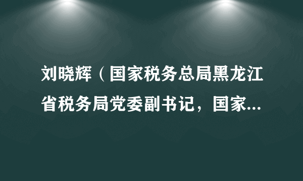 刘晓辉（国家税务总局黑龙江省税务局党委副书记，国家税务总局哈尔滨市税务局党委书记、局长）