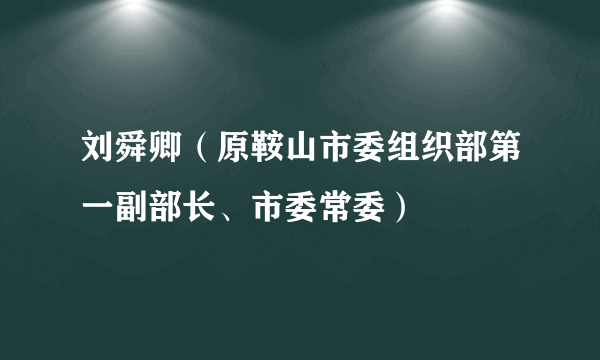 刘舜卿（原鞍山市委组织部第一副部长、市委常委）