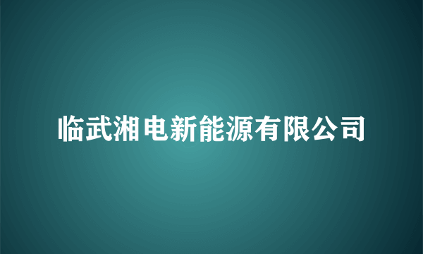 临武湘电新能源有限公司