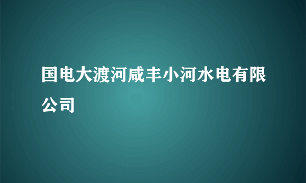 国电大渡河咸丰小河水电有限公司