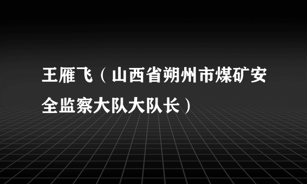 王雁飞（山西省朔州市煤矿安全监察大队大队长）