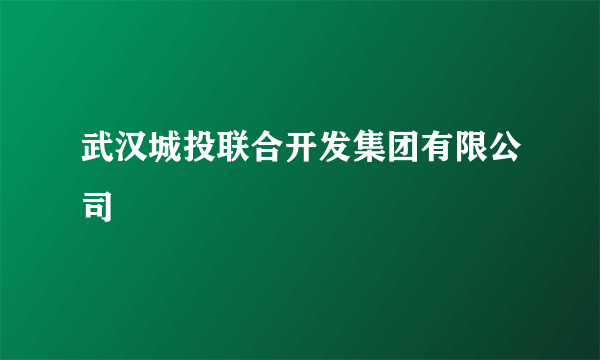 武汉城投联合开发集团有限公司