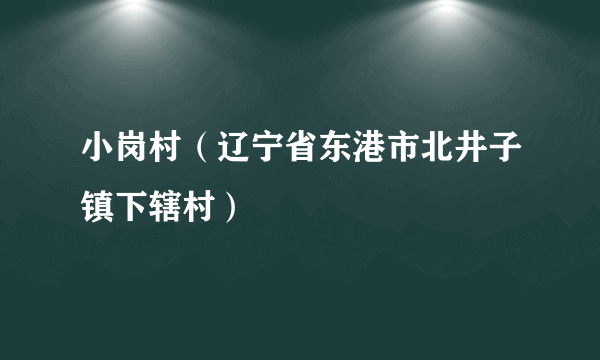 小岗村（辽宁省东港市北井子镇下辖村）