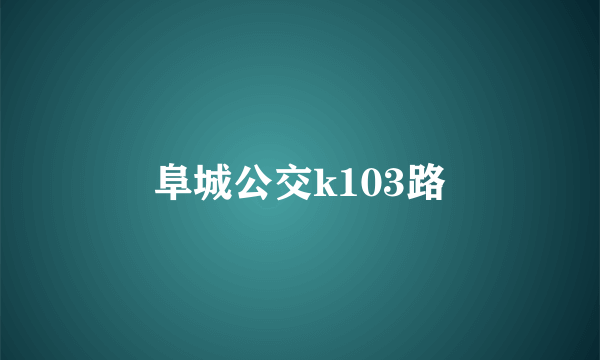 阜城公交k103路