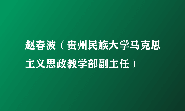 赵春波（贵州民族大学马克思主义思政教学部副主任）