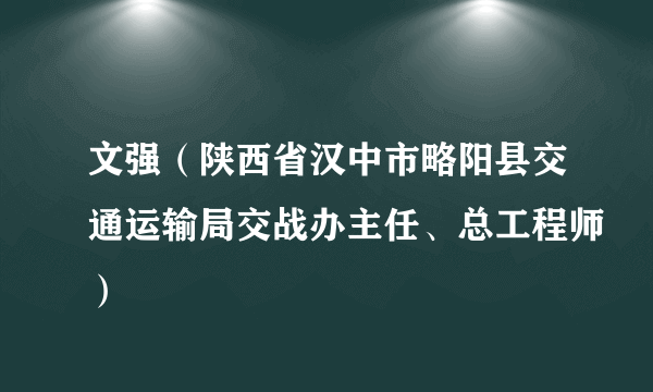 文强（陕西省汉中市略阳县交通运输局交战办主任、总工程师）