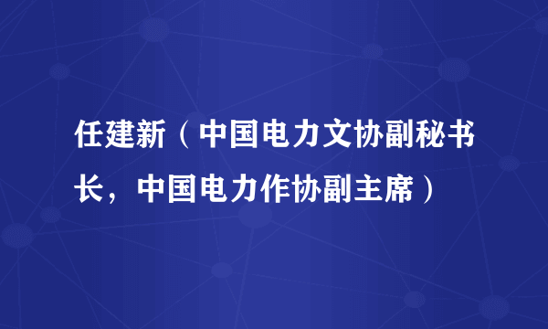 任建新（中国电力文协副秘书长，中国电力作协副主席）