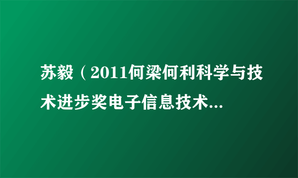 苏毅（2011何梁何利科学与技术进步奖电子信息技术奖得主）