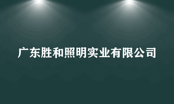 广东胜和照明实业有限公司