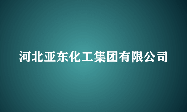 河北亚东化工集团有限公司