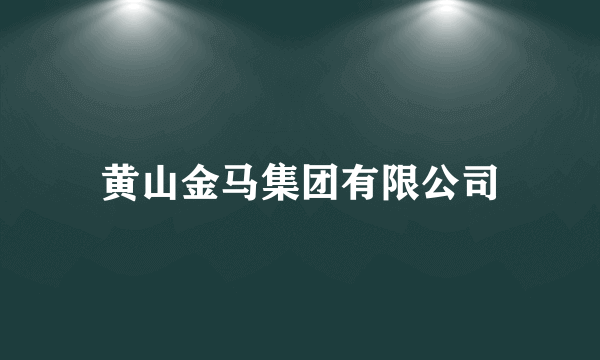 黄山金马集团有限公司