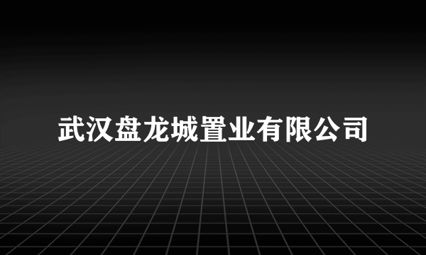 武汉盘龙城置业有限公司