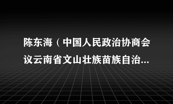 陈东海（中国人民政治协商会议云南省文山壮族苗族自治州富宁县第十一届委员会委员）