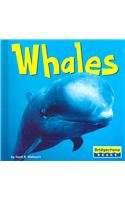 Whales（2005年Capstone Pr Inc出版的图书）