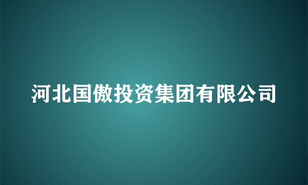 河北国傲投资集团有限公司