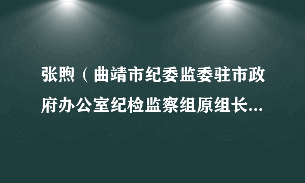 张煦（曲靖市纪委监委驻市政府办公室纪检监察组原组长、市政府办公室原党组成员）