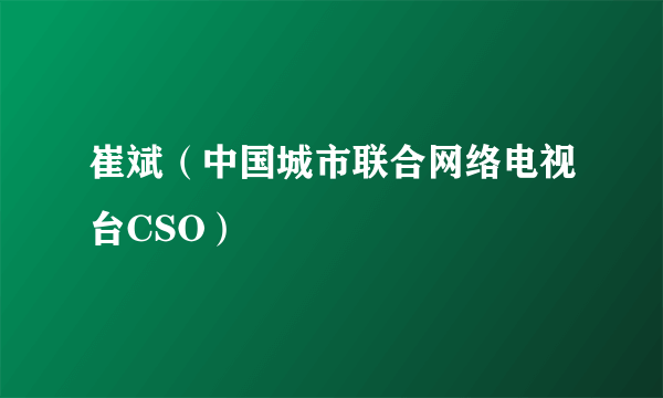 崔斌（中国城市联合网络电视台CSO）