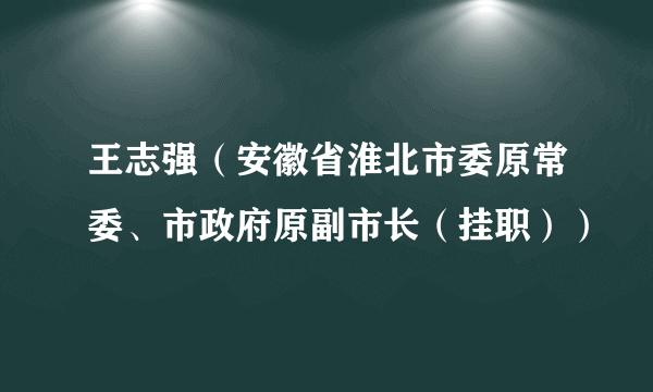 王志强（安徽省淮北市委原常委、市政府原副市长（挂职））