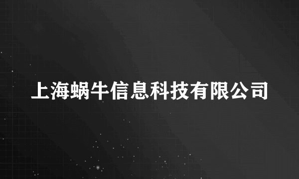 上海蜗牛信息科技有限公司