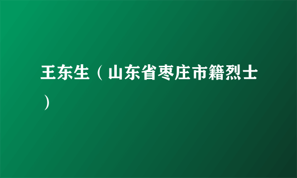 王东生（山东省枣庄市籍烈士）