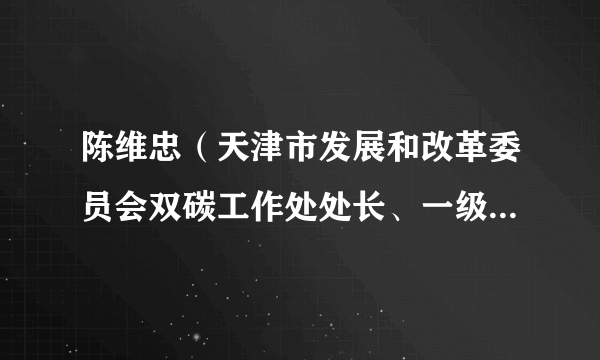 陈维忠（天津市发展和改革委员会双碳工作处处长、一级调研员）