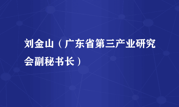 刘金山（广东省第三产业研究会副秘书长）