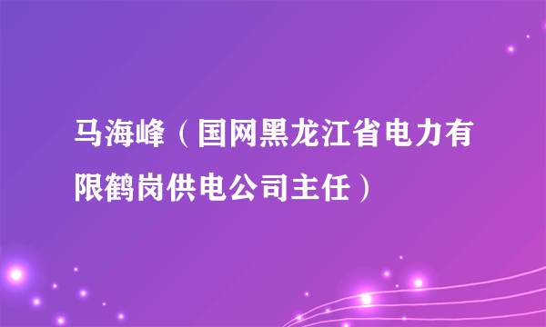 马海峰（国网黑龙江省电力有限鹤岗供电公司主任）