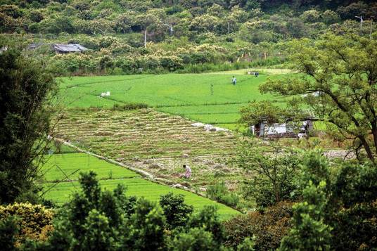 西坑村（广东省惠州市惠城区惠环街道下辖村）