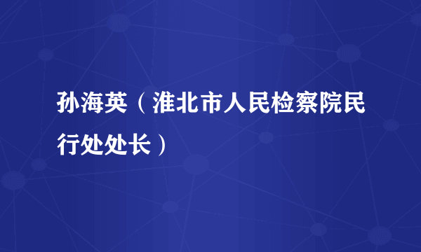 孙海英（淮北市人民检察院民行处处长）