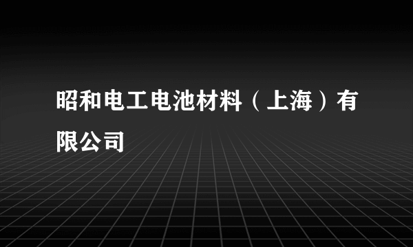 昭和电工电池材料（上海）有限公司