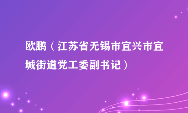 欧鹏（江苏省无锡市宜兴市宜城街道党工委副书记）