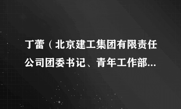 丁蕾（北京建工集团有限责任公司团委书记、青年工作部部长，共青团北京市委员会副书记（挂职））