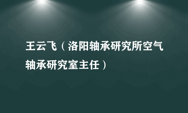 王云飞（洛阳轴承研究所空气轴承研究室主任）