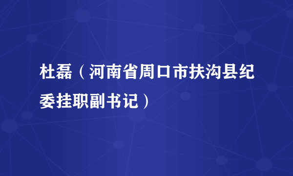 杜磊（河南省周口市扶沟县纪委挂职副书记）