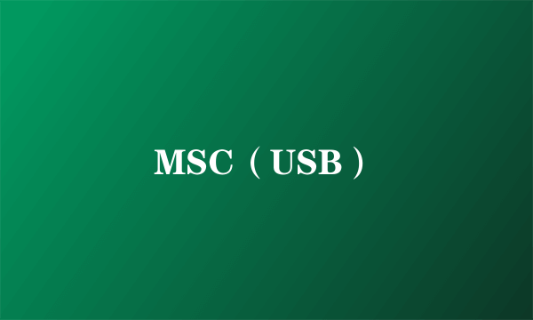 MSC（USB）