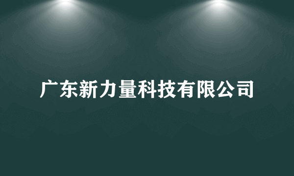 广东新力量科技有限公司