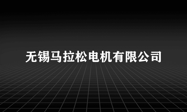 无锡马拉松电机有限公司