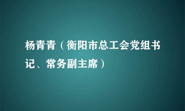 杨青青（衡阳市总工会党组书记、常务副主席）